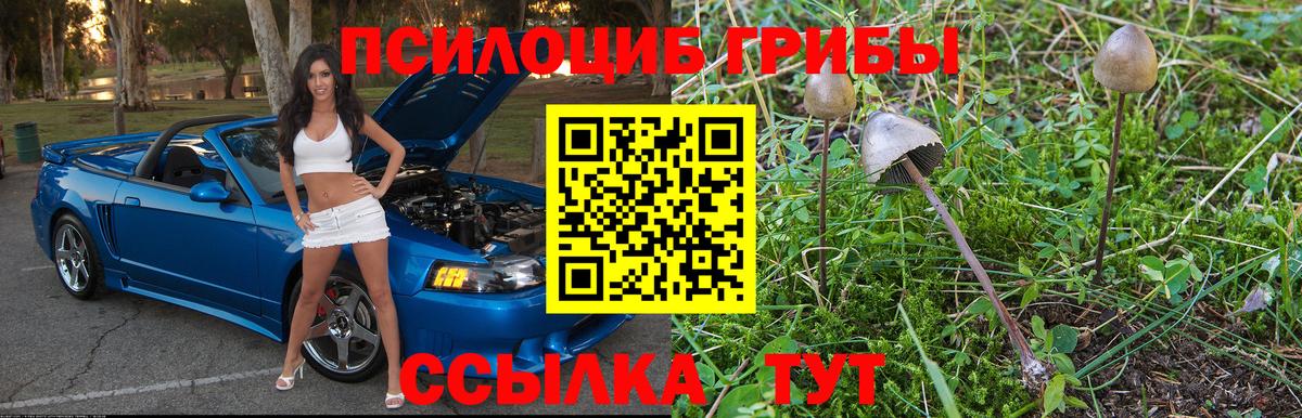 Галлюциногенные грибы мухоморы Волоколамск